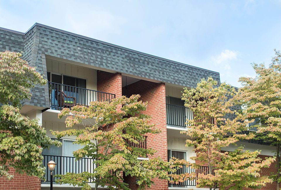 Ivy Apartments Charlottesville
